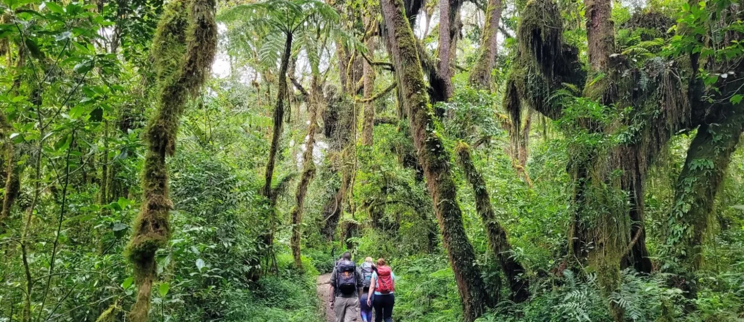 Mount-Kilimanjaro-Trekking-4-1536x864-1