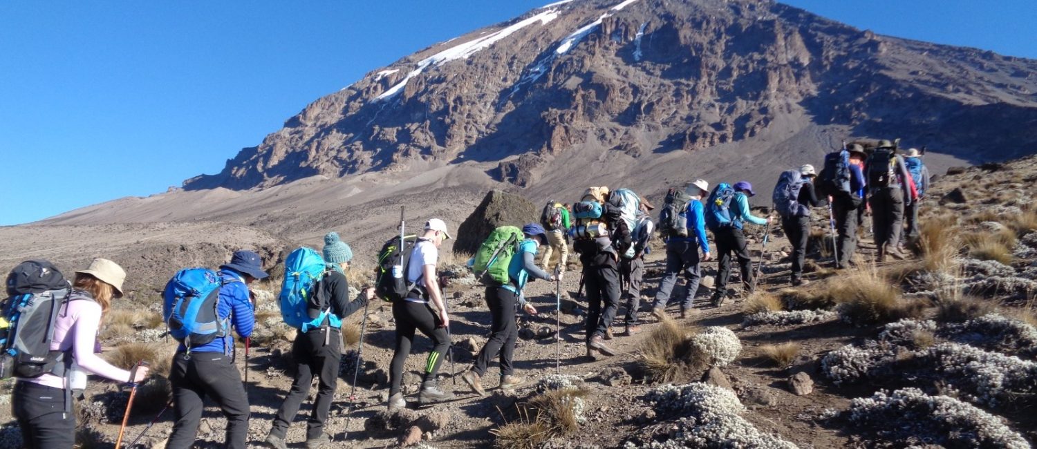 hike-kilimanjaro-via-5-days-marangucoca-cola-route-meilleur-tours_kcYFU