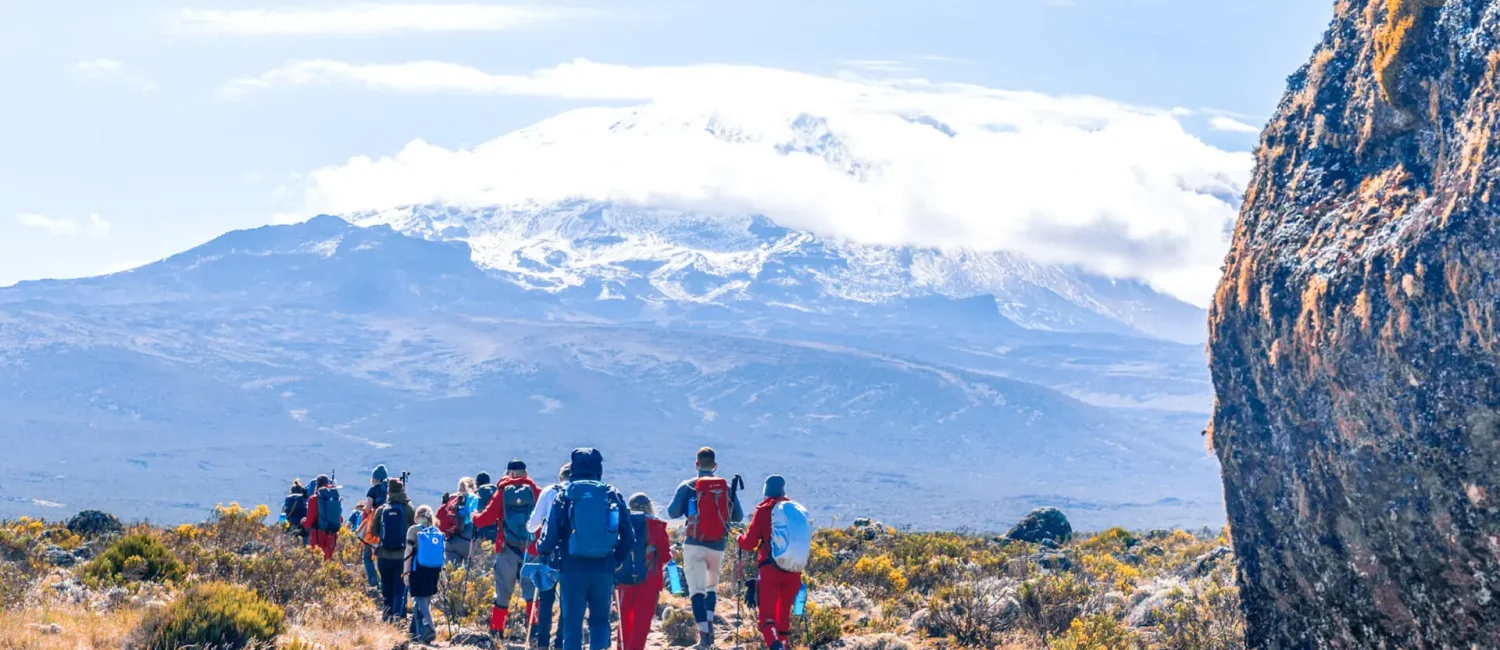 kili-moorland