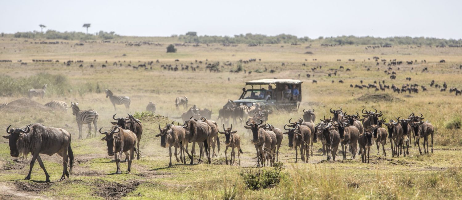 maasai-mara-safari